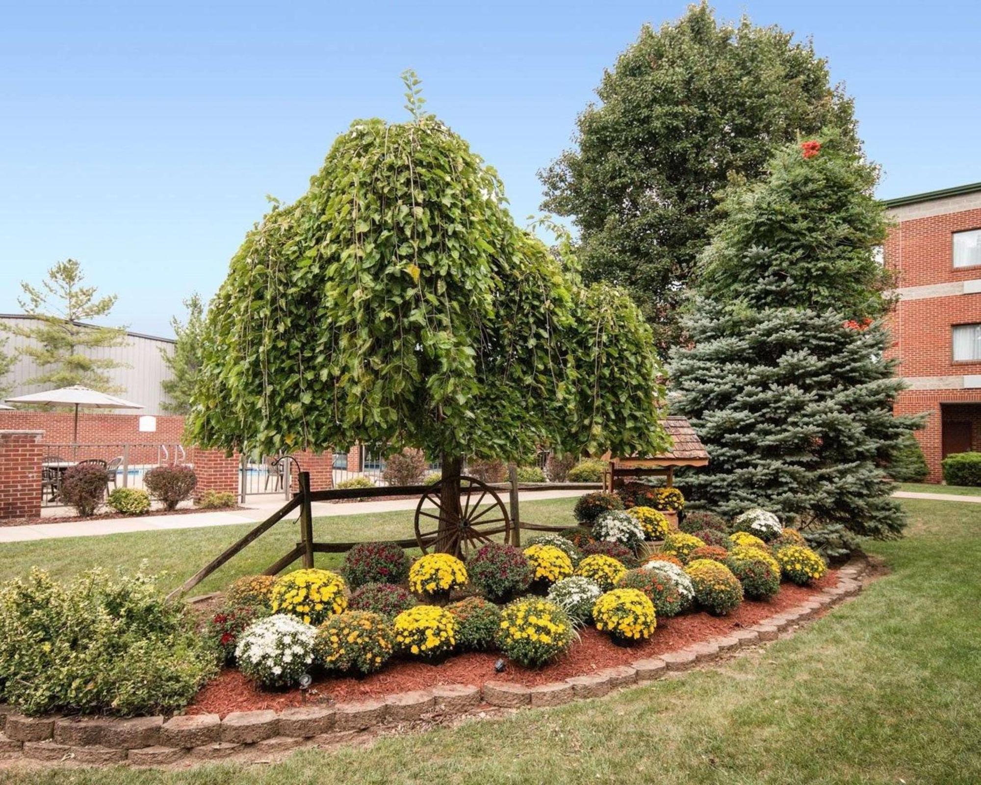 Comfort Suites Parkersburg South Mineral Wells Extérieur photo